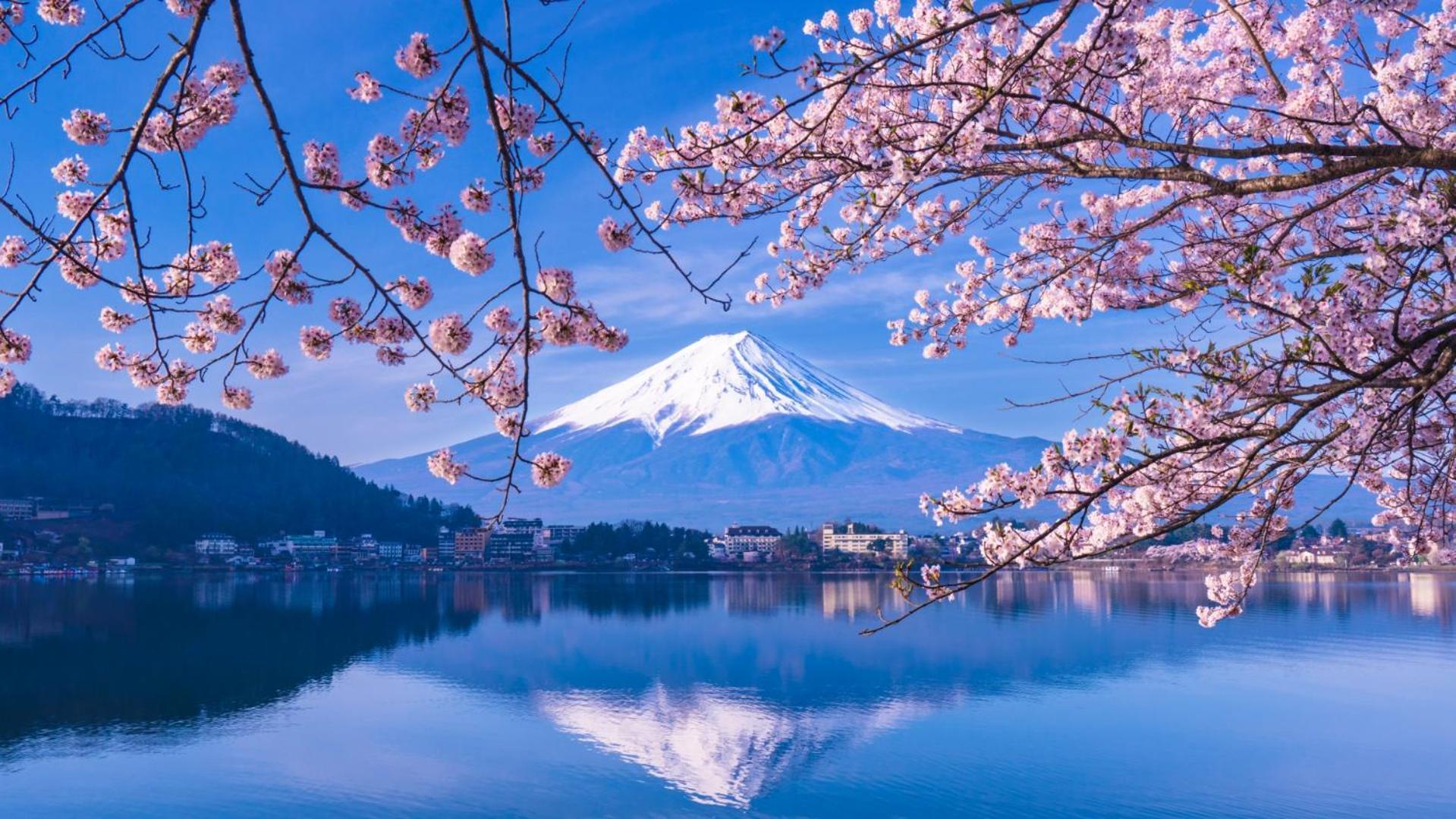 Mt Fuji Glamping Tourist Villa Kawaguchiko 후지카와구치코 외부 사진